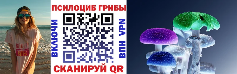 мориарти телеграм  Болохово  Псилоцибиновые грибы Magic Shrooms 