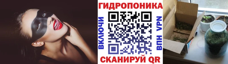 OMG онион  Болохово  Канабис сатива 